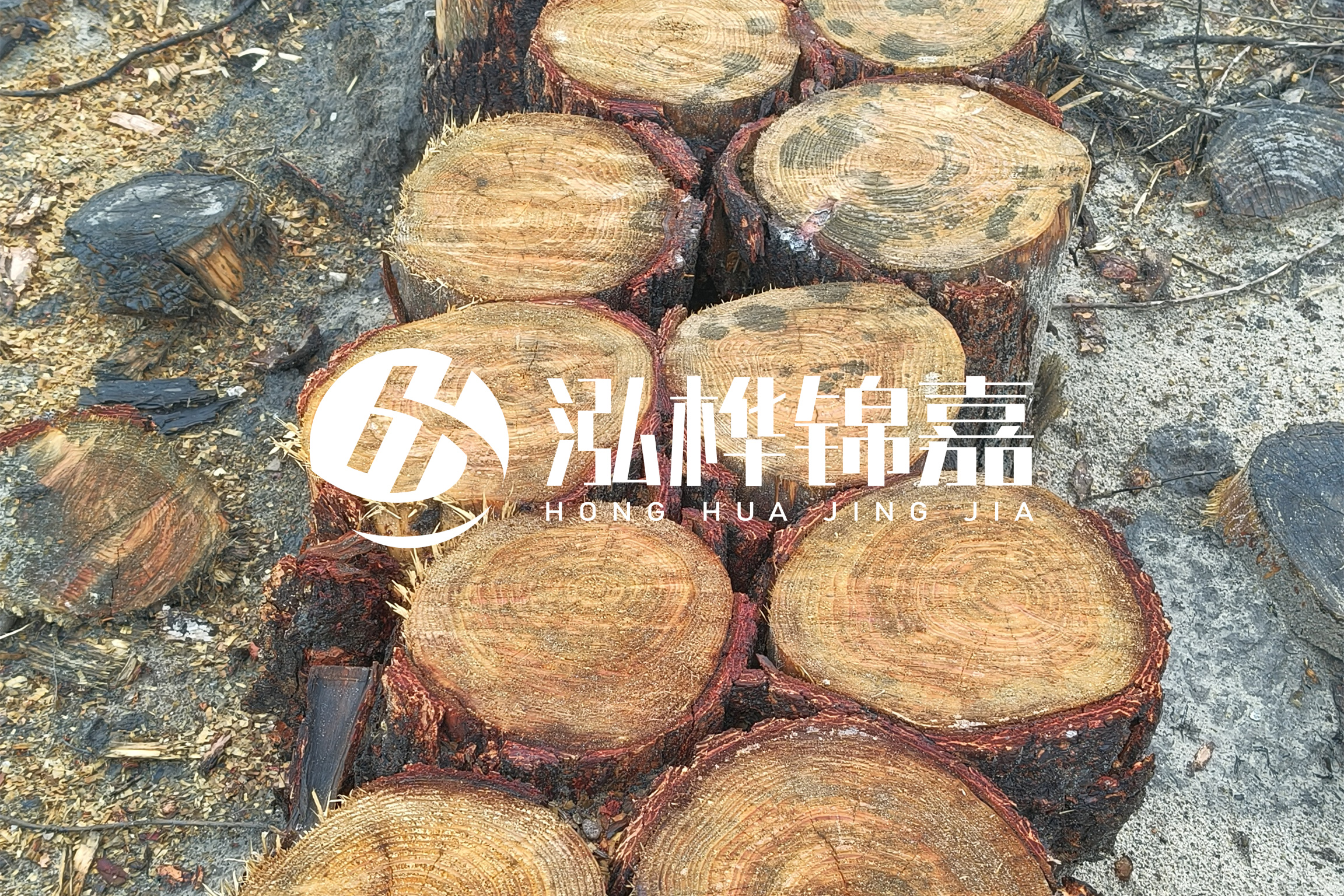 浙江臺(tái)州有清淤的公司嗎？浙江臺(tái)州有清淤施工隊(duì)嗎？