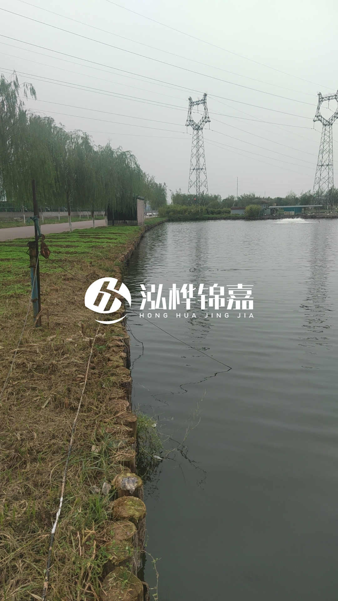 臺州挖機打木樁專業(yè)施工-松木樁打樁木的密度對打樁效果有影響嗎？