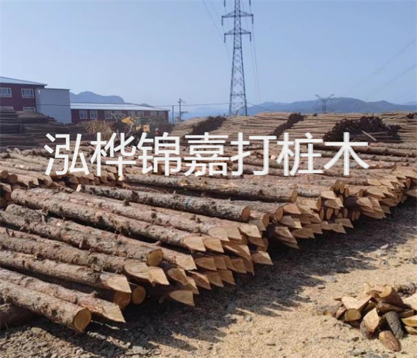 美麗河岸，松木樁施工照片展示