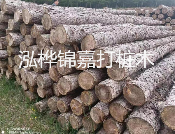 松木樁排架施工方案，打造穩(wěn)固高效的建筑支撐